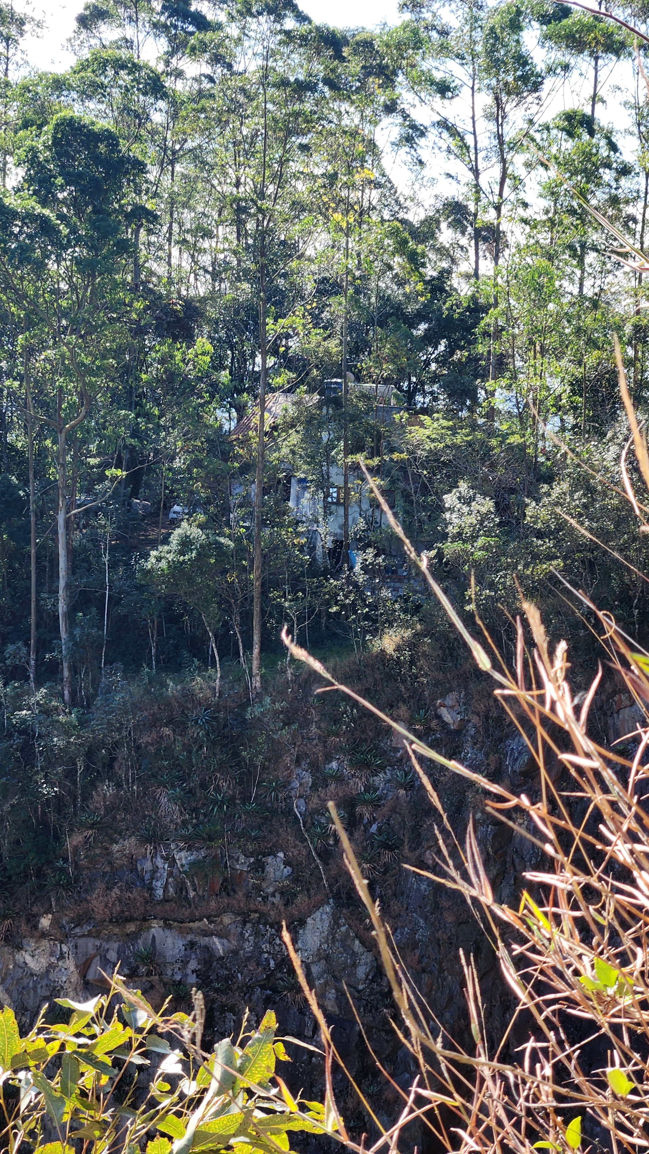 Casa entre as árvores vista da pedreira